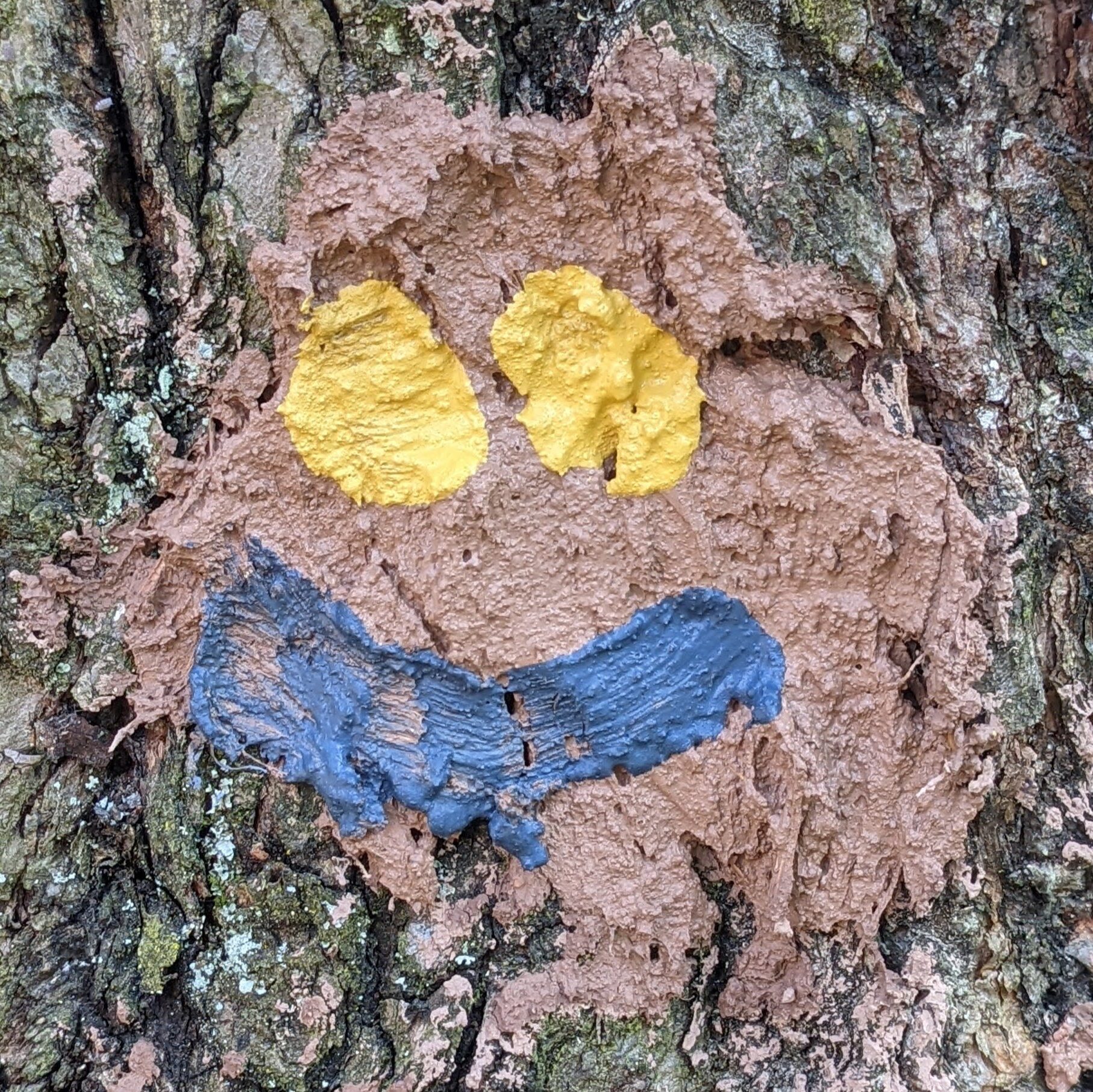 Ein Gesicht aus dick aufgetragener, strukturierter Lehmfarbe an einer Baumrinde