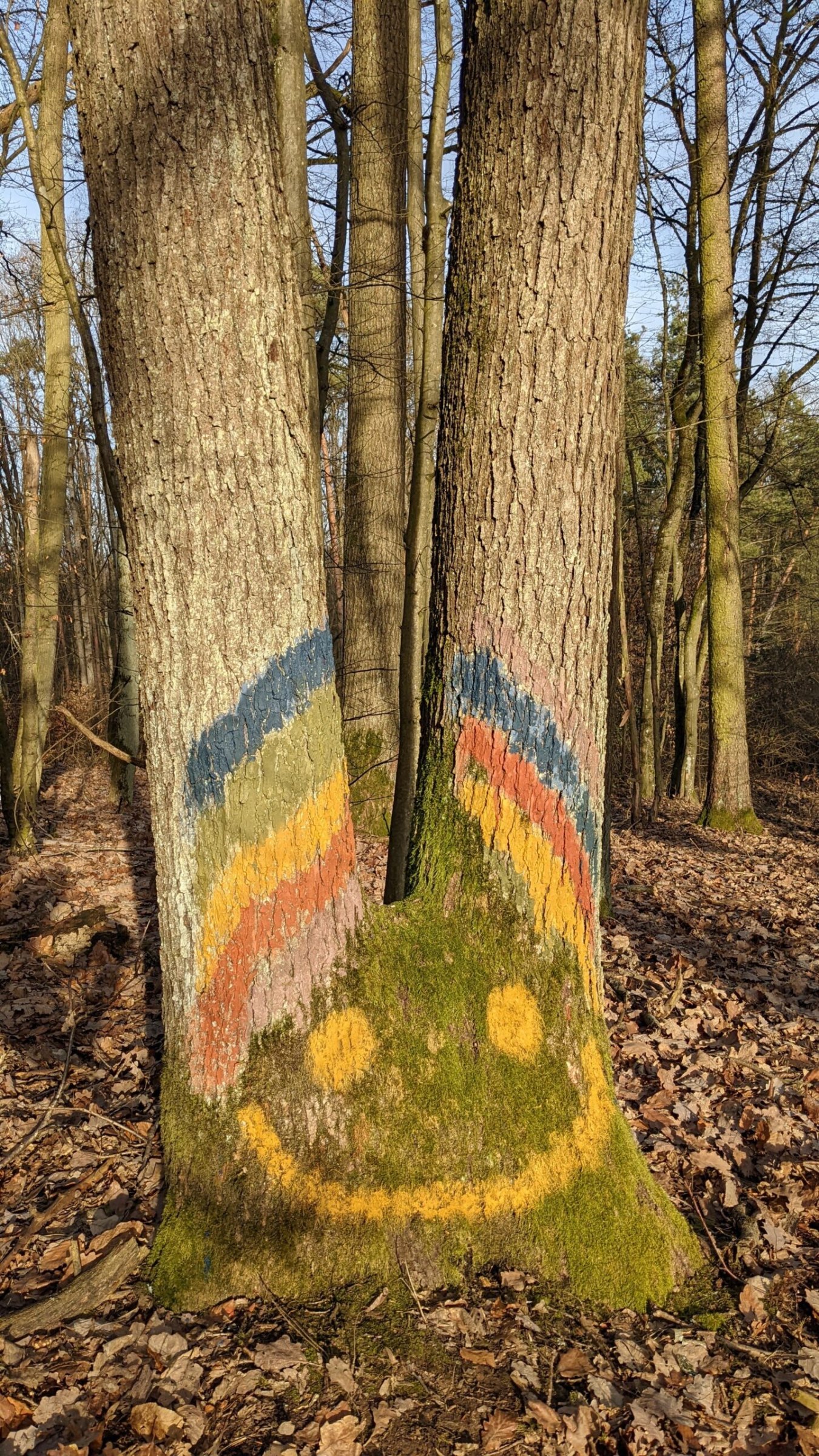 Zwei Baumstämme im Wald mit aufgemaltem Regenbogen und lachendem Gesicht